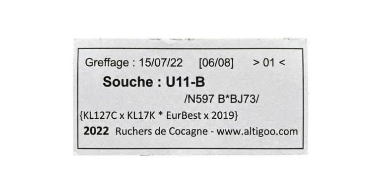 l'étiquette d'identification de la reine avec le suivi de traçabilité depuis le greffage (date de greffage et nom de la souche greffée).