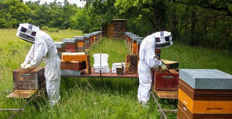 L'exploitation de Laurent Dugué, à Grayan-et-l'Hôpital.