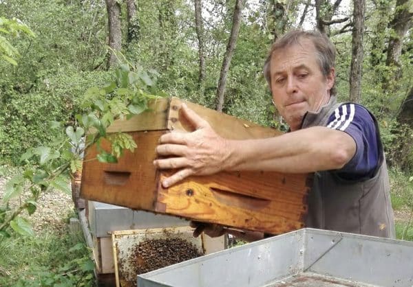 Jean-François Mallein, apiculteur aux Ruchers de Cocagne, manipulation d'une fausse avec du miel.