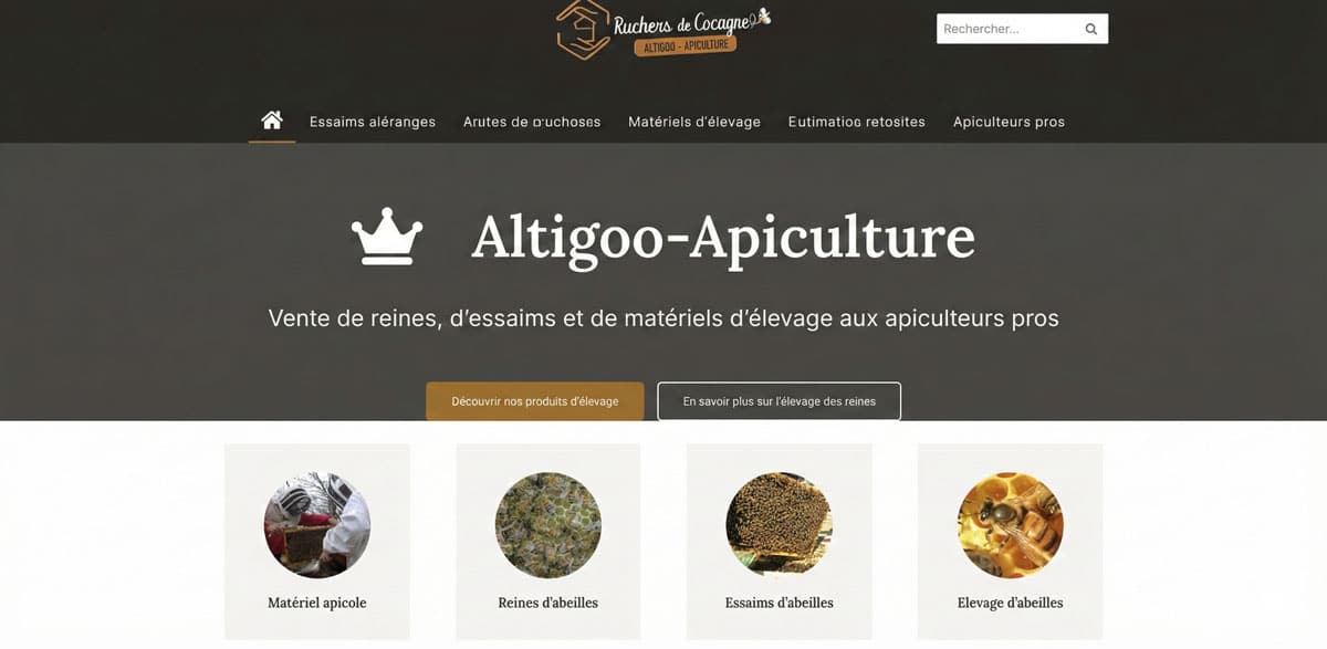 Capture d'écran du site altigoo.com, version 2026.